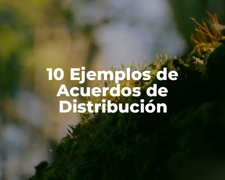 10 Ejemplos de Acuerdos de Distribución