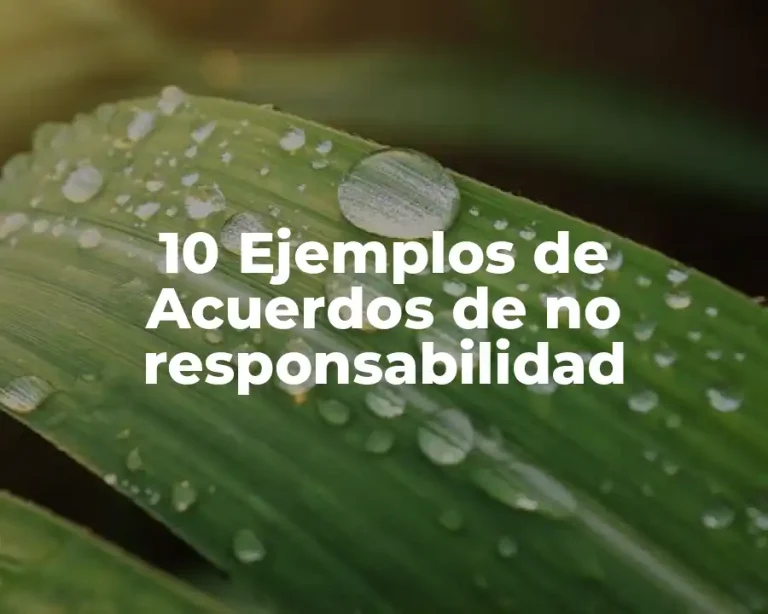10 Ejemplos de Acuerdos de no responsabilidad