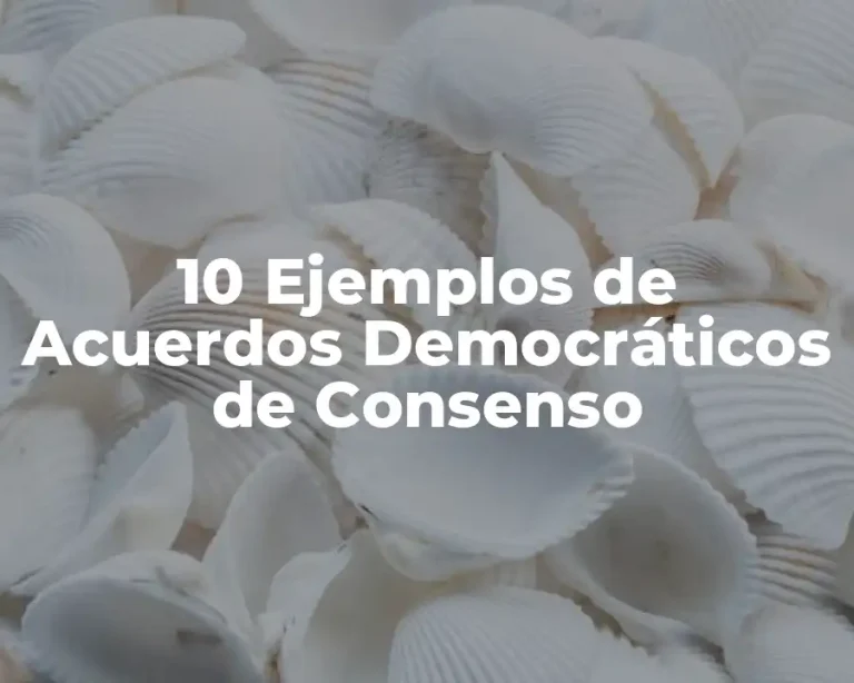 10 Ejemplos de Acuerdos Democráticos de Consenso