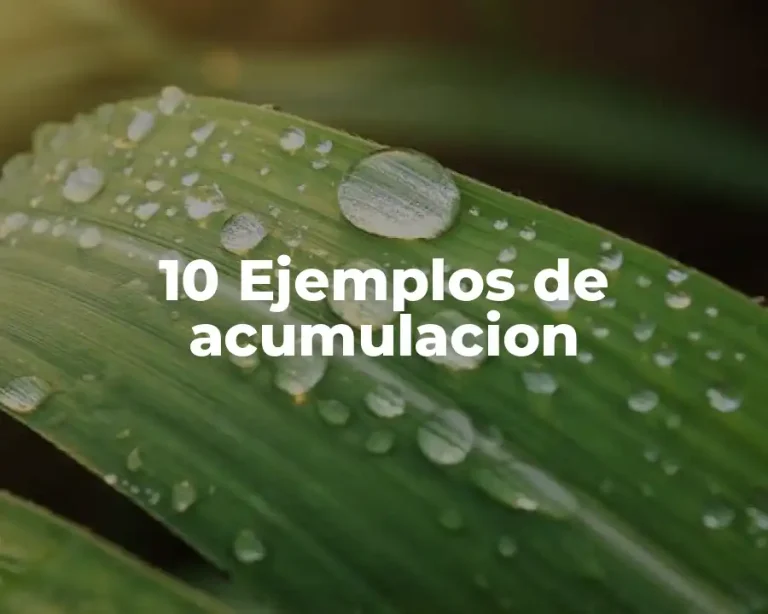 10 Ejemplos de acumulacion