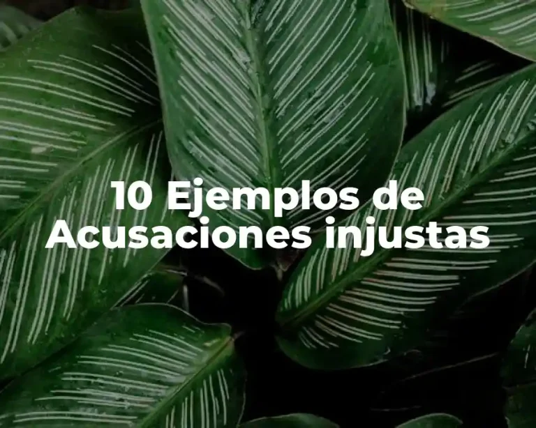 10 Ejemplos de Acusaciones injustas
