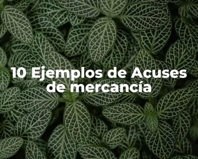 10 Ejemplos de Acuses de mercancía
