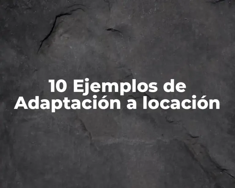 10 Ejemplos de Adaptación a locación