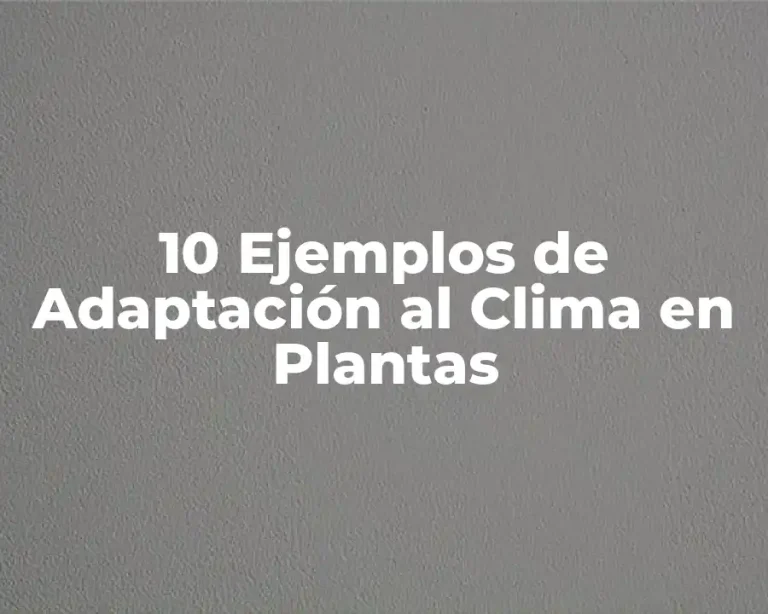 10 Ejemplos de Adaptación al Clima en Plantas