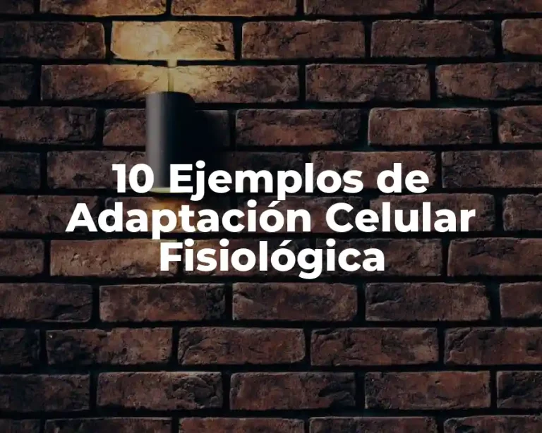 10 Ejemplos de Adaptación Celular Fisiológica