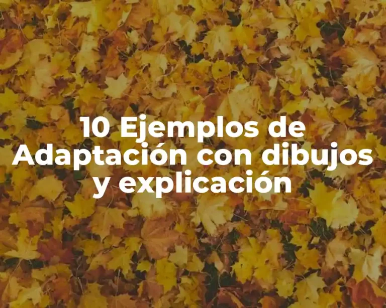 10 Ejemplos de Adaptación con dibujos y explicación