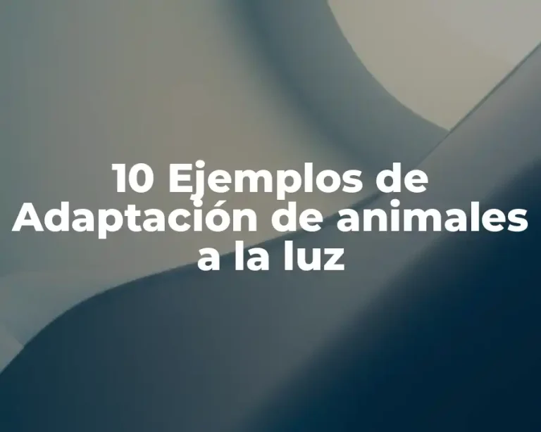 10 Ejemplos de Adaptación de animales a la luz