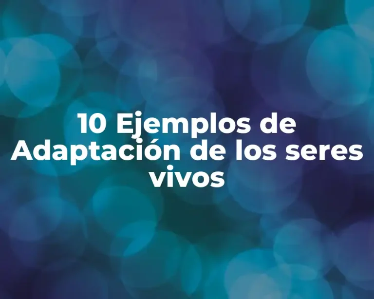 10 Ejemplos de Adaptación de los seres vivos