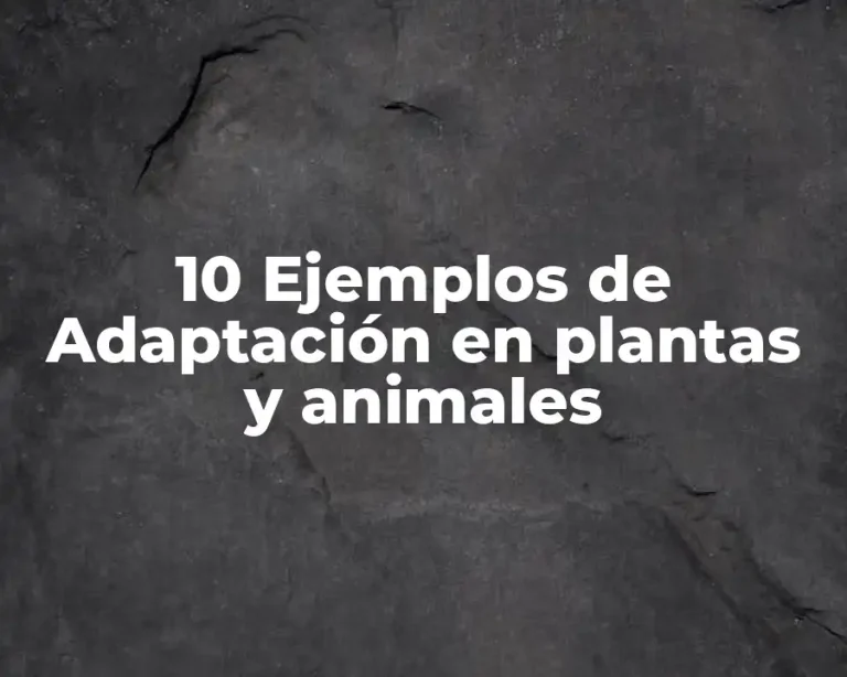 10 Ejemplos de Adaptación en plantas y animales
