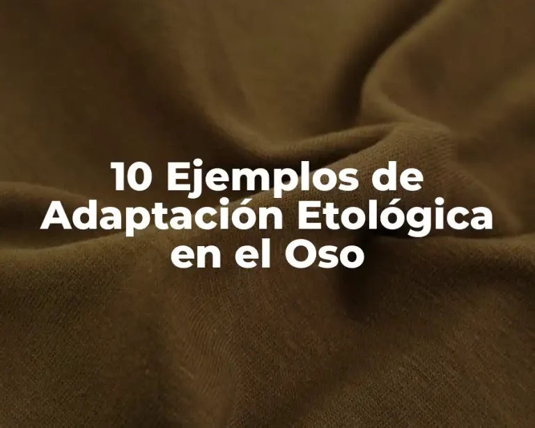 10 Ejemplos de Adaptación Etológica en el Oso