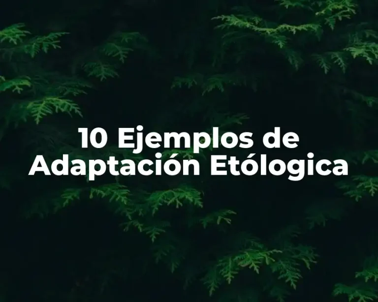 10 Ejemplos de Adaptación Etólogica