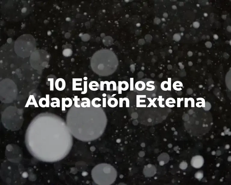 10 Ejemplos de Adaptación Externa