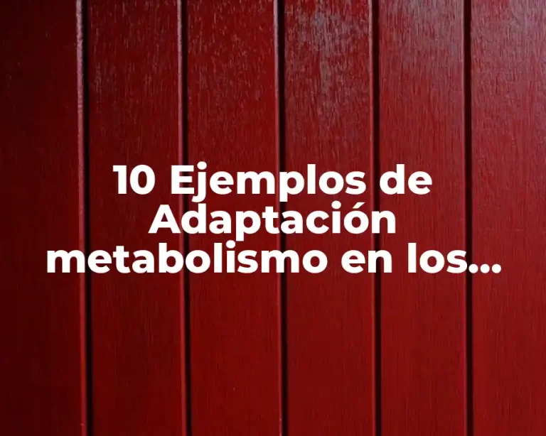 10 Ejemplos de Adaptación metabolismo en los seres vivos un ejemplo