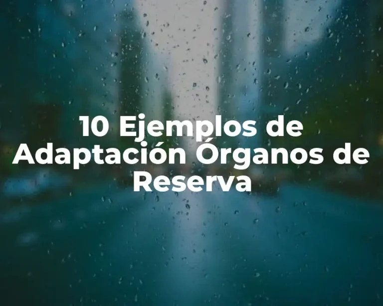 10 Ejemplos de Adaptación Órganos de Reserva
