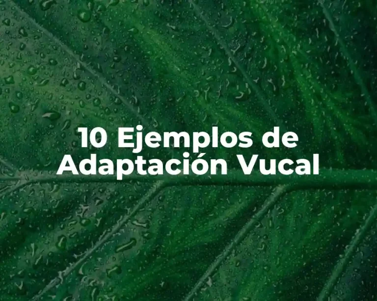 10 Ejemplos de Adaptación Vucal