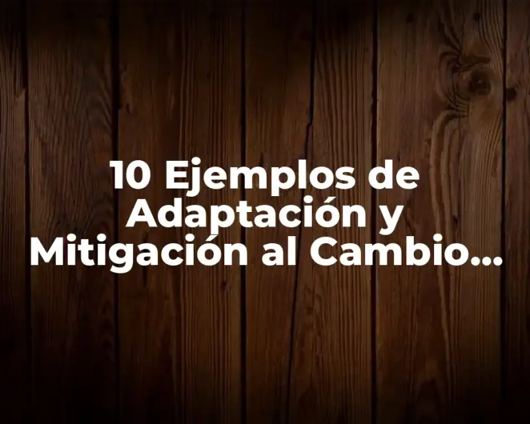10 Ejemplos de Adaptación y Mitigación al Cambio Climático