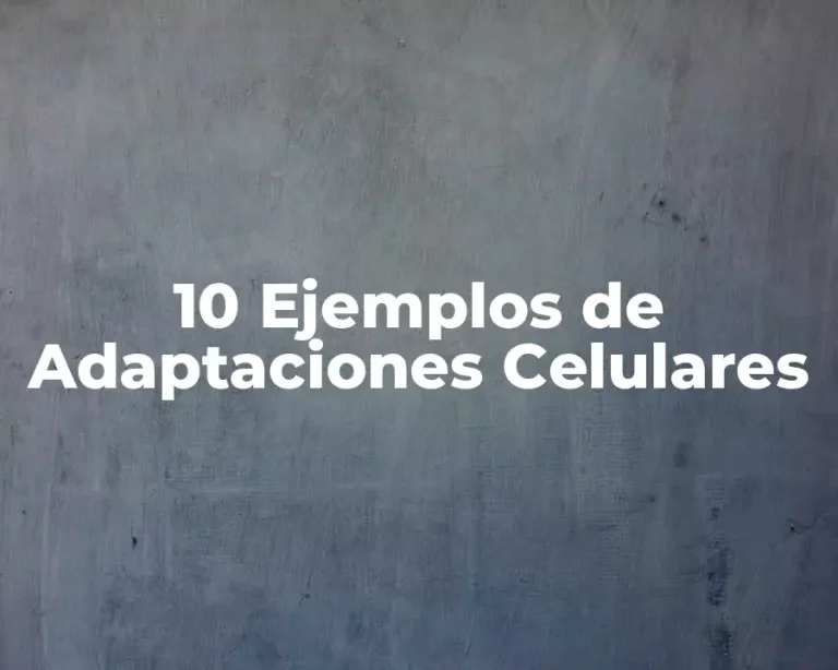 10 Ejemplos de Adaptaciones Celulares