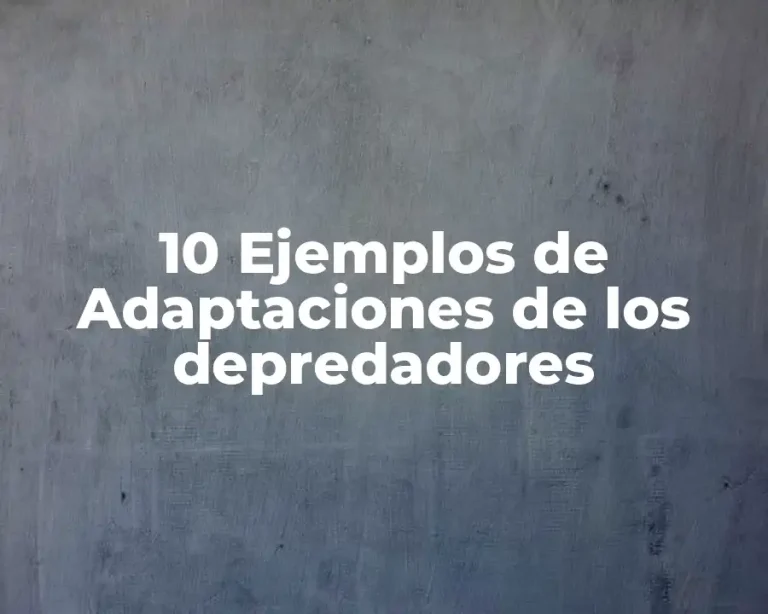 10 Ejemplos de Adaptaciones de los depredadores