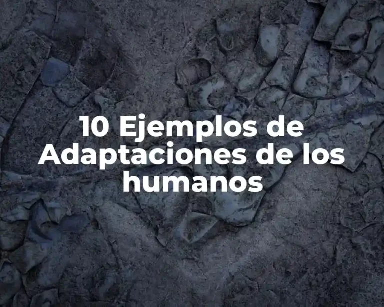 10 Ejemplos de Adaptaciones de los humanos