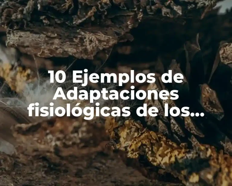 10 Ejemplos de Adaptaciones fisiológicas de los animales