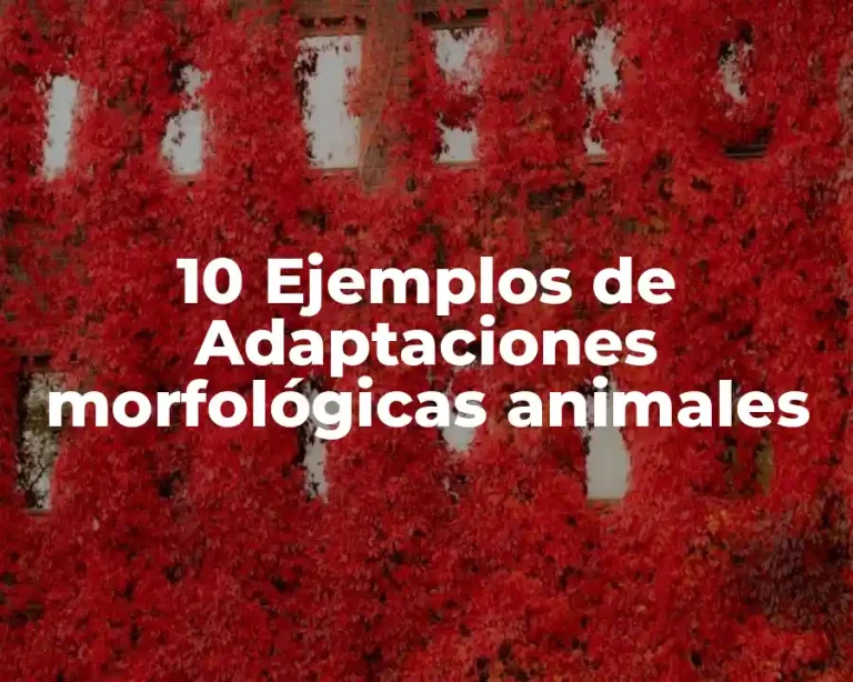 10 Ejemplos de Adaptaciones morfológicas animales
