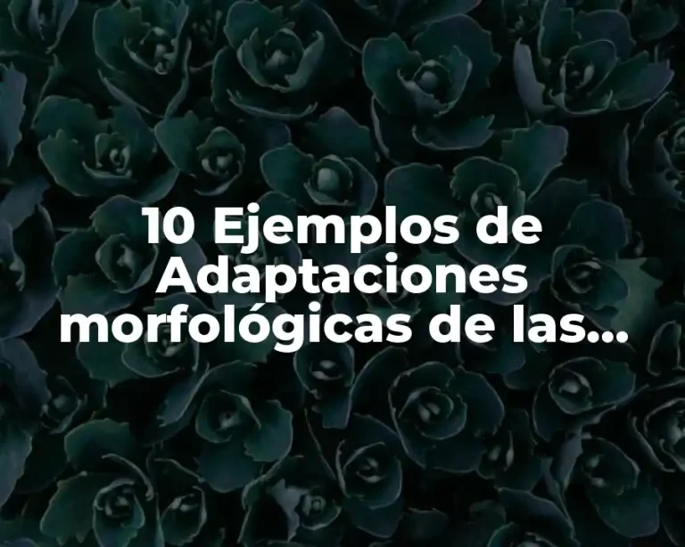 10 Ejemplos de Adaptaciones morfológicas de las plantas