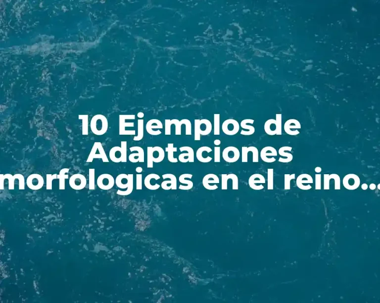 10 Ejemplos de Adaptaciones morfologicas en el reino protista