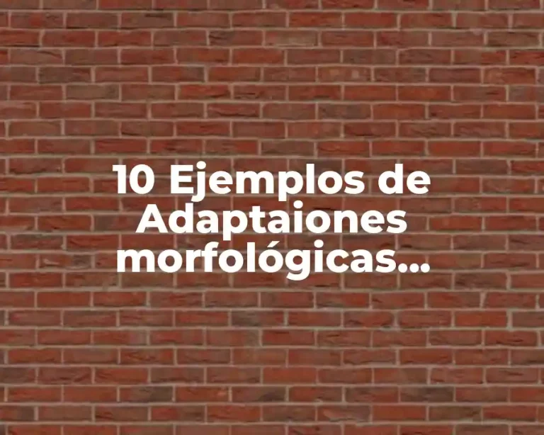 10 Ejemplos de Adaptaiones morfológicas, fisiológicas y conductuales