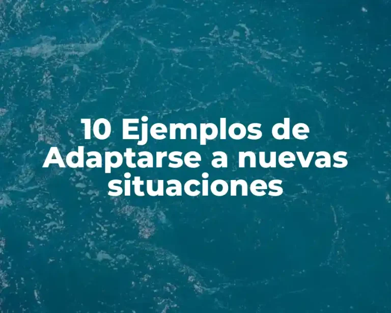 10 Ejemplos de Adaptarse a nuevas situaciones