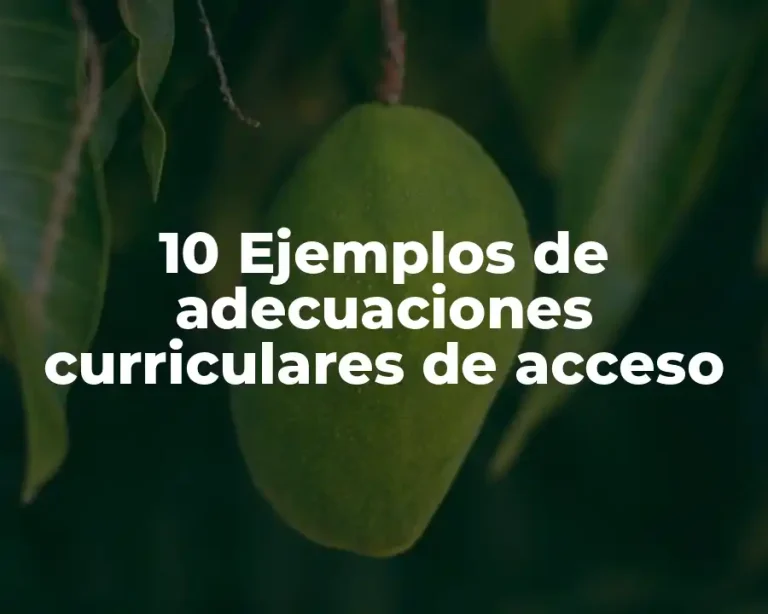 10 Ejemplos de adecuaciones curriculares de acceso