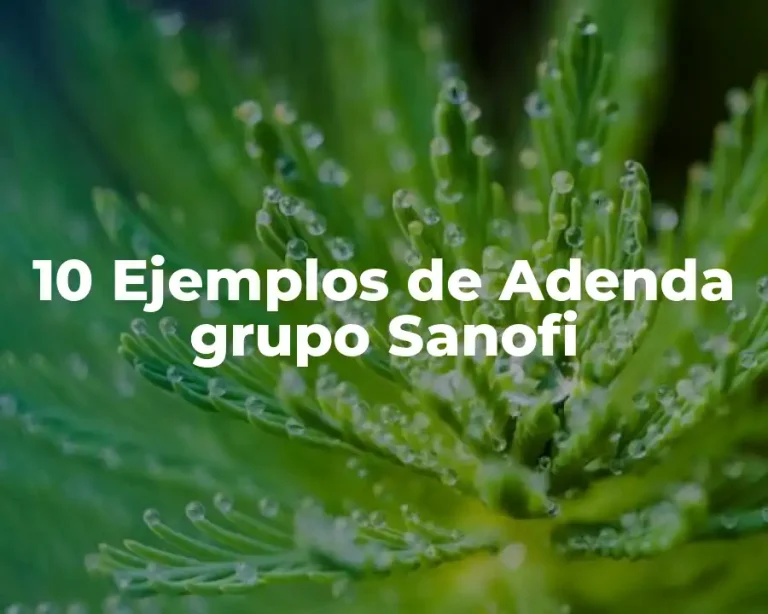 10 Ejemplos de Adenda grupo Sanofi