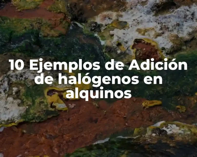 10 Ejemplos de Adición de halógenos en alquinos