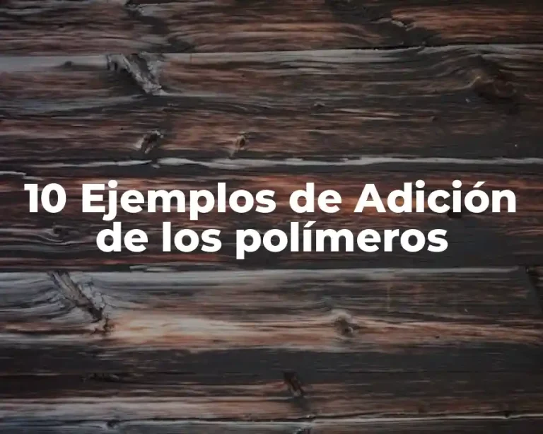10 Ejemplos de Adición de los polímeros