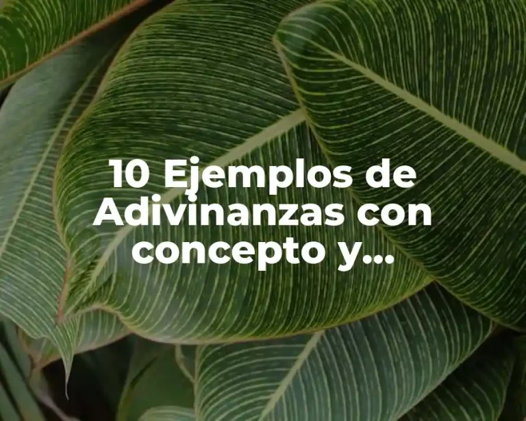 10 Ejemplos de Adivinanzas con concepto y características