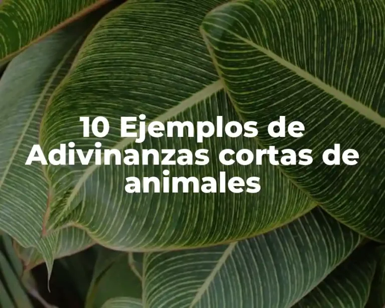 10 Ejemplos de Adivinanzas cortas de animales