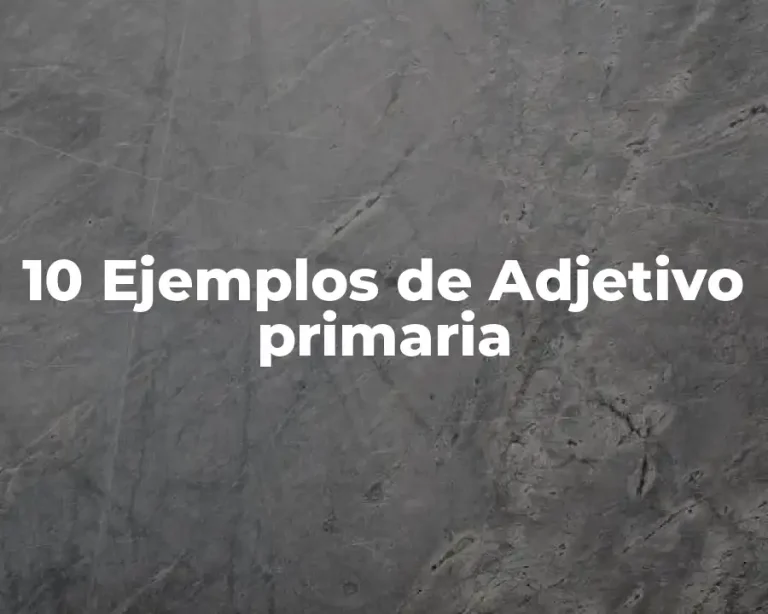 10 Ejemplos de Adjetivo primaria