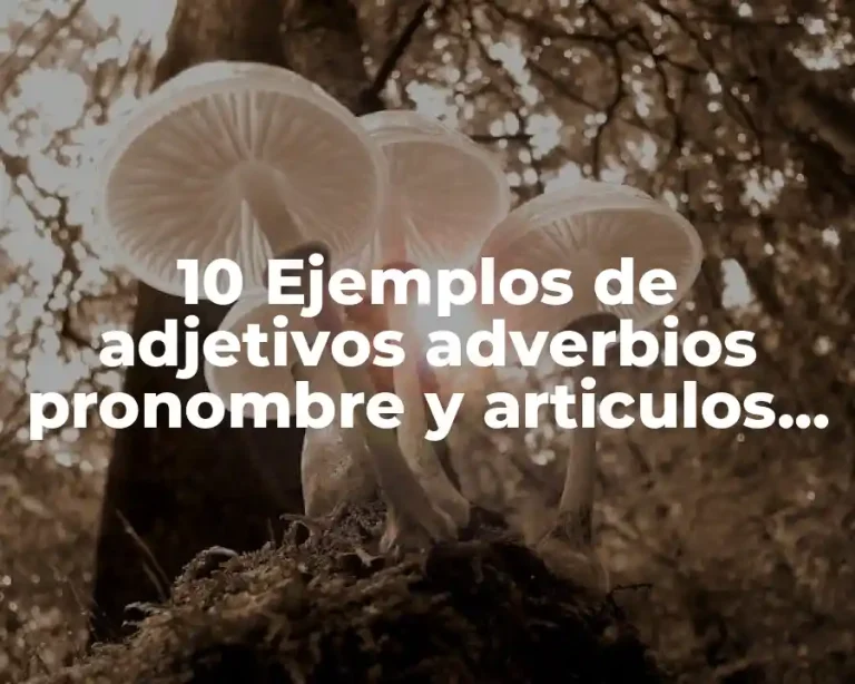 10 Ejemplos de adjetivos adverbios pronombre y articulos en igles