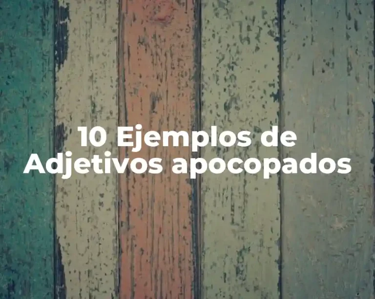 10 Ejemplos de Adjetivos apocopados