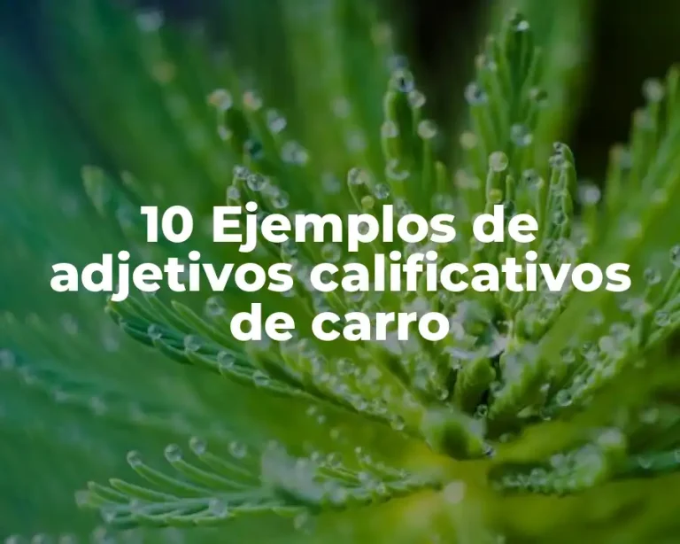 10 Ejemplos de adjetivos calificativos de carro