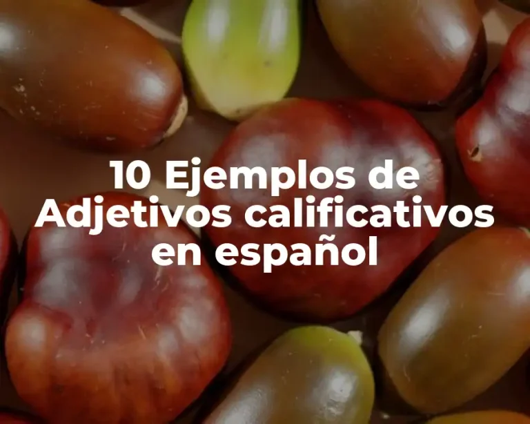 10 Ejemplos de Adjetivos calificativos en español