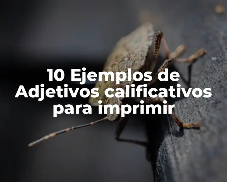 10 Ejemplos de Adjetivos calificativos para imprimir
