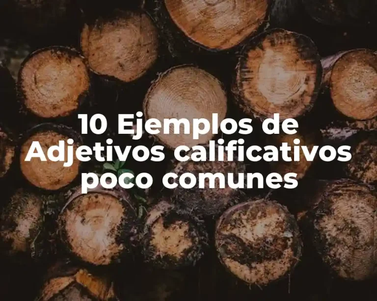 10 Ejemplos de Adjetivos calificativos poco comunes