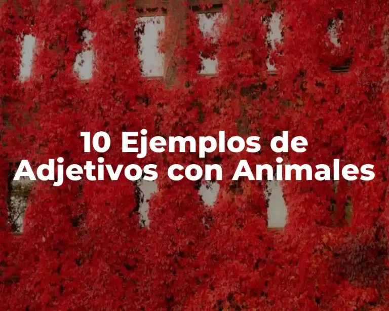 10 Ejemplos de Adjetivos con Animales
