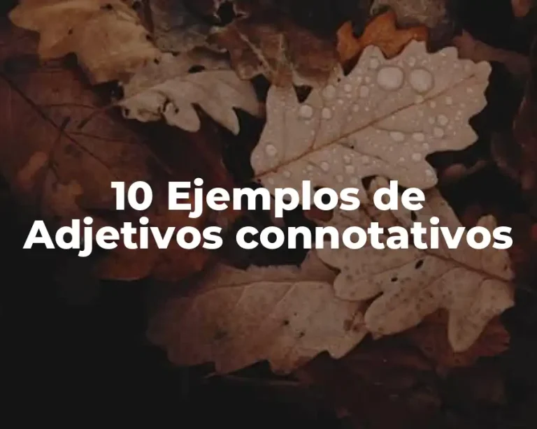 10 Ejemplos de Adjetivos connotativos