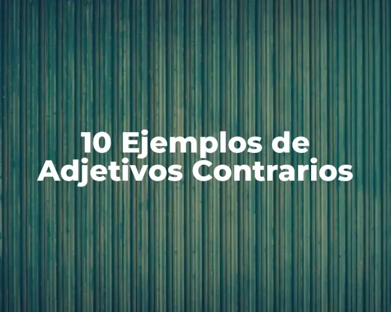 10 Ejemplos de Adjetivos Contrarios
