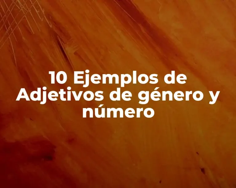 10 Ejemplos de Adjetivos de género y número