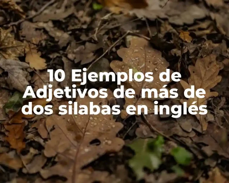 10 Ejemplos de Adjetivos de más de dos silabas en inglés