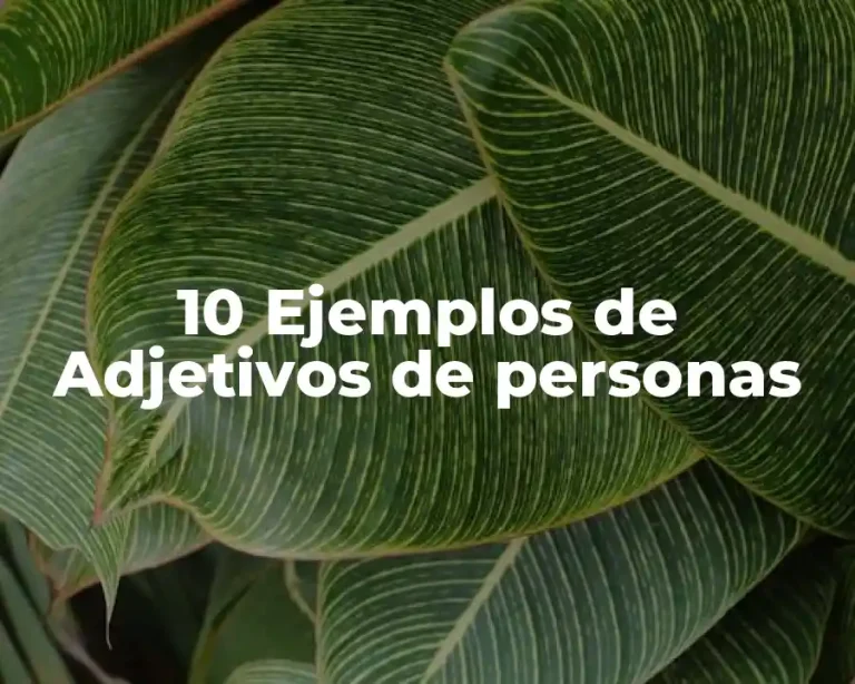 10 Ejemplos de Adjetivos de personas