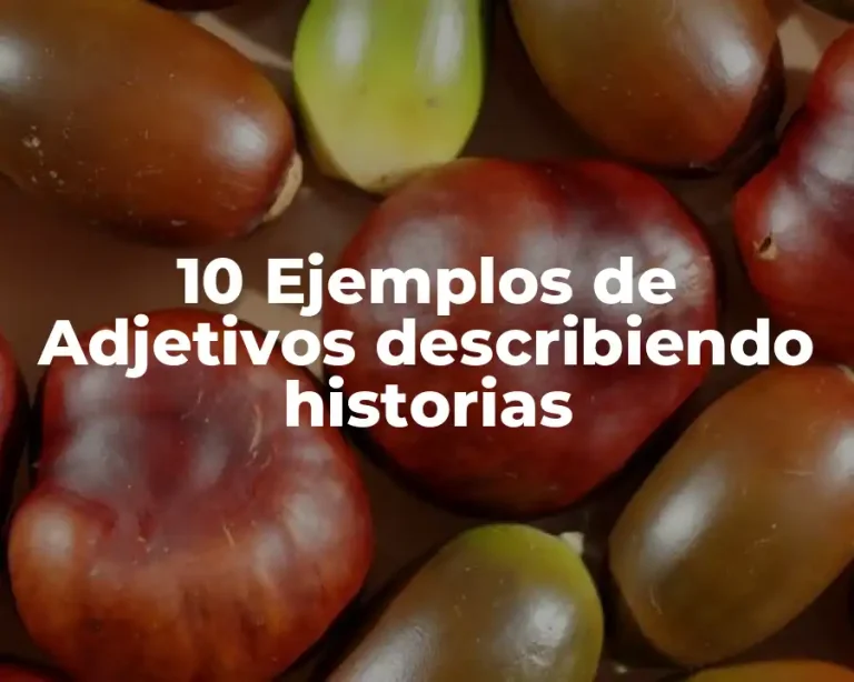 10 Ejemplos de Adjetivos describiendo historias