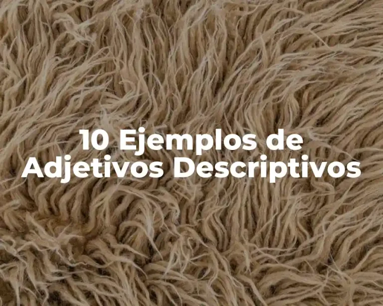 10 Ejemplos de Adjetivos Descriptivos